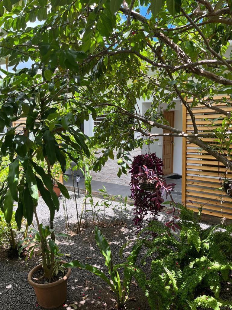 Pare Lodge Tahiti Pirae Eksteriør bilde